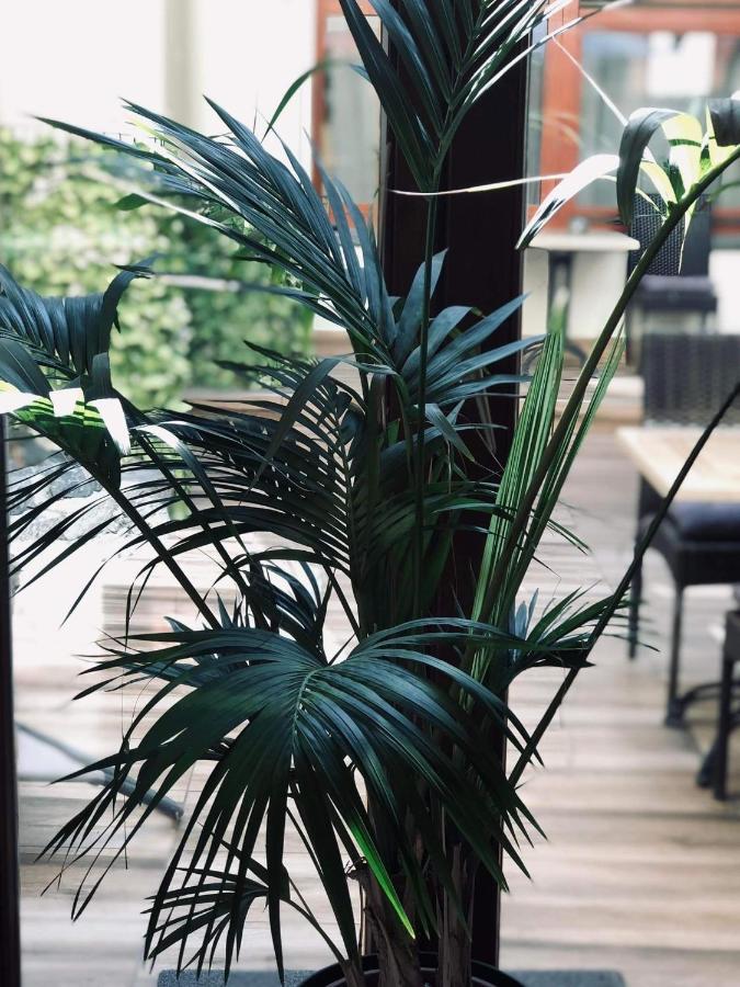 Hotel Atrium Panzio Ostrzyhom Zewnętrze zdjęcie